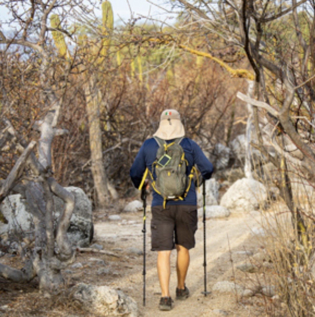 Hiker with trekking poles on a desert trail through Baja cacti and boulders